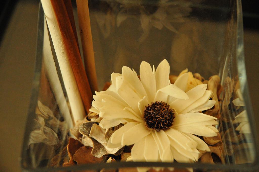 Ester Guest House Кавес Екстериор снимка